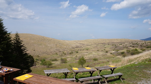 DSC06512.JPG
