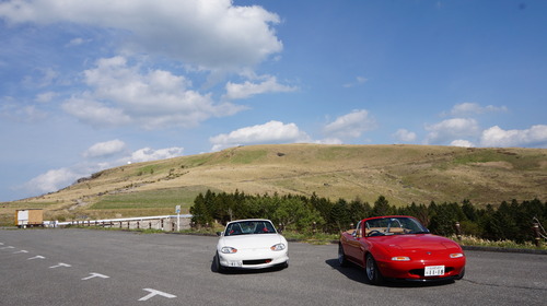 DSC06519.JPG