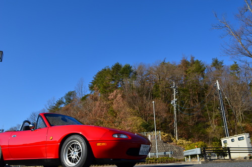 DSC_1899.JPG